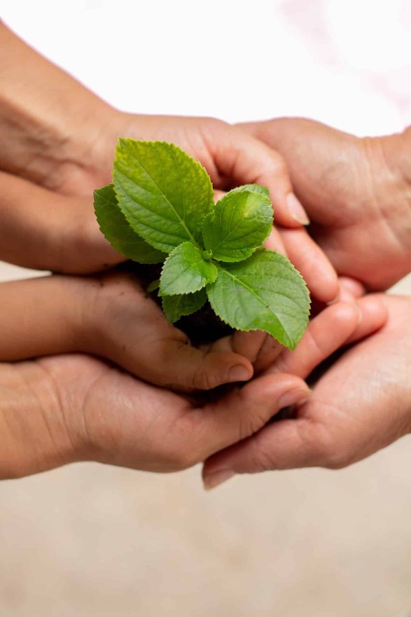 Actualité environnementale : comment préserver la planète ?