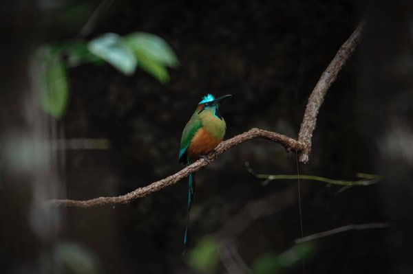 Est-il judicieux d'investir dans l'immobilier ?