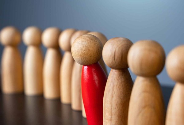 Quelles sont les étapes clés pour lancer une initiative de plantation d'arbustes indigènes en milieu urbain ?